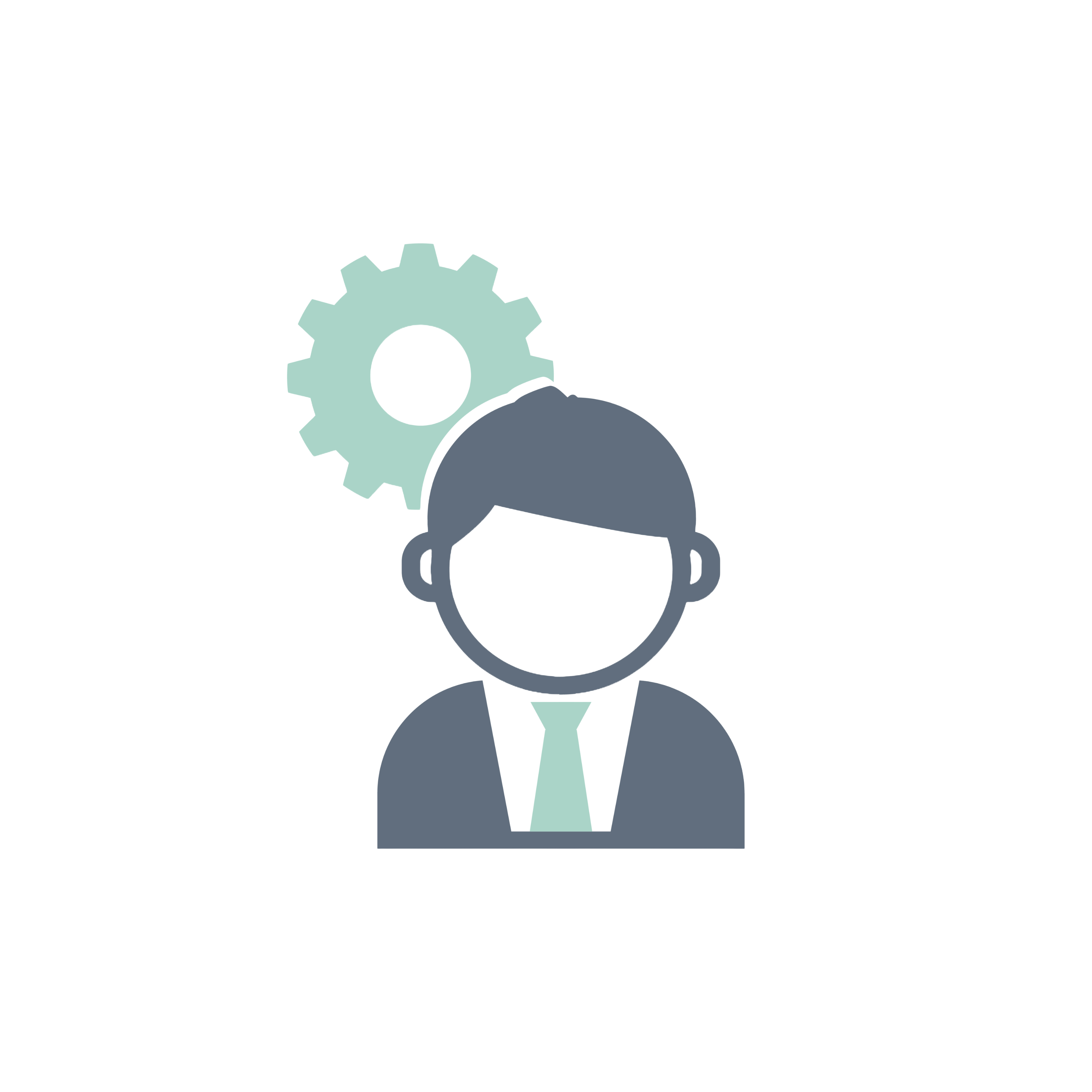 Visa Icon